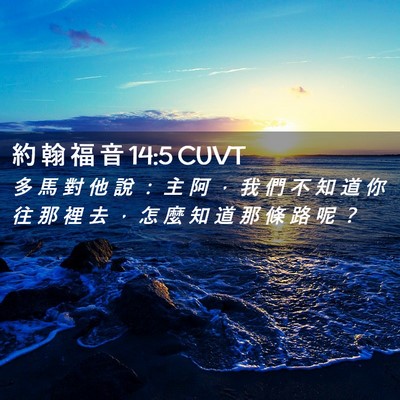 Picture 02 - 約 翰 福 音 14:5 CUVT - 多 馬 對 他 說 ： 主 阿 ， 我 們 不 - Bible Verse Picture