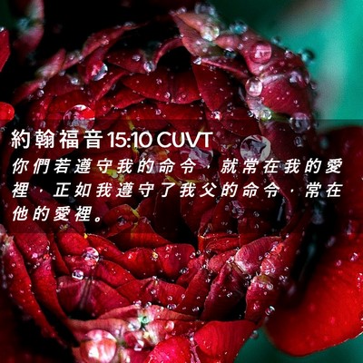 Picture 02 - 約 翰 福 音 15:10 CUVT - 你 們 若 遵 守 我 的 命 令 ， 就 常 - Bible Verse Picture