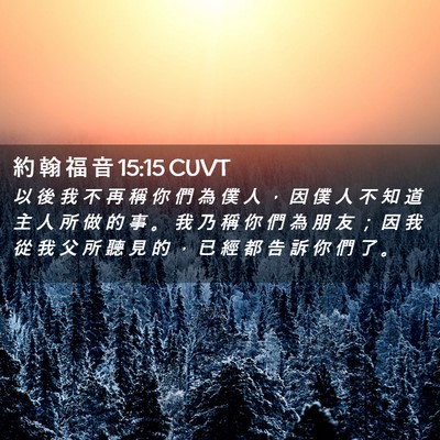 Picture 02 - 約 翰 福 音 15:15 CUVT - 以 後 我 不 再 稱 你 們 為 僕 人 ， - Bible Verse Picture