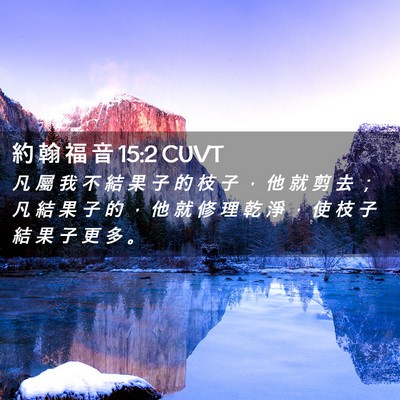 Picture 02 - 約 翰 福 音 15:2 CUVT - 凡 屬 我 不 結 果 子 的 枝 子 ， 他 - Bible Verse Picture