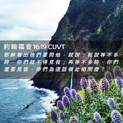 Picture 02 - 約 翰 福 音 16:19 CUVT - 耶 穌 看 出 他 們 要 問 他 ， 就 說 - Bible Verse Picture