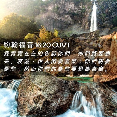 Picture 02 - 約 翰 福 音 16:20 CUVT - 我 實 實 在 在 的 告 訴 你 們 ， 你 - Bible Verse Picture