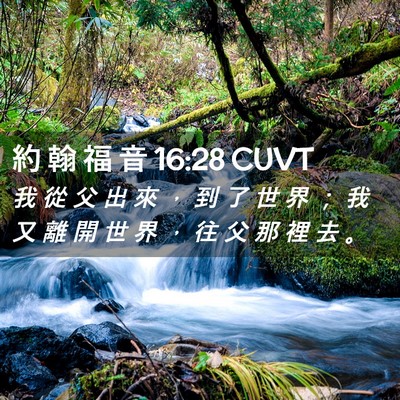 Picture 02 - 約 翰 福 音 16:28 CUVT - 我 從 父 出 來 ， 到 了 世 界 ； 我 - Bible Verse Picture