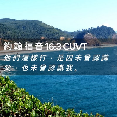 Picture 02 - 約 翰 福 音 16:3 CUVT - 他 們 這 樣 行 ， 是 因 未 曾 認 識 - Bible Verse Picture
