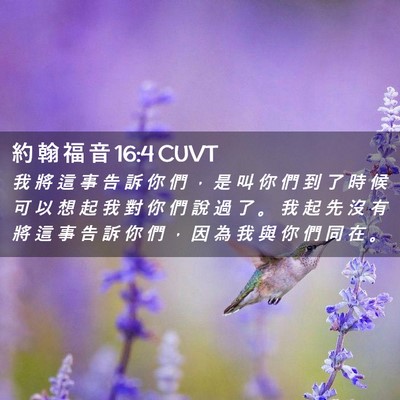 Picture 02 - 約 翰 福 音 16:4 CUVT - 我 將 這 事 告 訴 你 們 ， 是 叫 你 - Bible Verse Picture