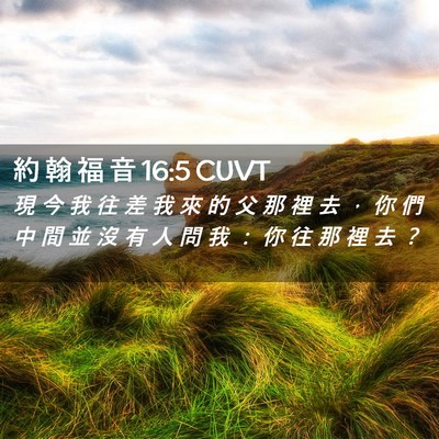 Picture 02 - 約 翰 福 音 16:5 CUVT - 現 今 我 往 差 我 來 的 父 那 裡 去 - Bible Verse Picture