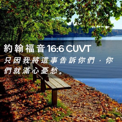 Picture 02 - 約 翰 福 音 16:6 CUVT - 只 因 我 將 這 事 告 訴 你 們 ， 你 - Bible Verse Picture