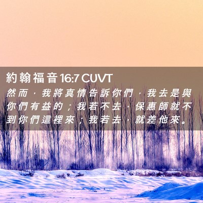 Picture 02 - 約 翰 福 音 16:7 CUVT - 然 而 ， 我 將 真 情 告 訴 你 們 ， - Bible Verse Picture