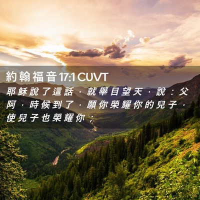 Picture 02 - 約 翰 福 音 17:1 CUVT - 耶 穌 說 了 這 話 ， 就 舉 目 望 天 - Bible Verse Picture