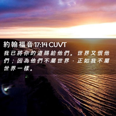 Picture 02 - 約 翰 福 音 17:14 CUVT - 我 已 將 你 的 道 賜 給 他 們 。 世 - Bible Verse Picture