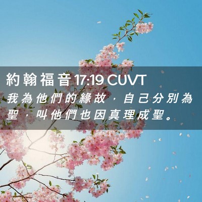 Picture 02 - 約 翰 福 音 17:19 CUVT - 我 為 他 們 的 緣 故 ， 自 己 分 別 - Bible Verse Picture