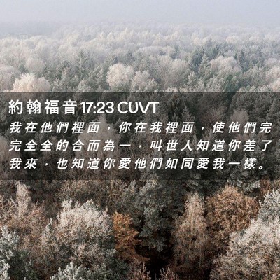 Picture 02 - 約 翰 福 音 17:23 CUVT - 我 在 他 們 裡 面 ， 你 在 我 裡 面 - Bible Verse Picture