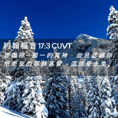 Picture 02 - 約 翰 福 音 17:3 CUVT - 認 識 你 ─ 獨 一 的 真 神 ， 並 且 - Bible Verse Picture