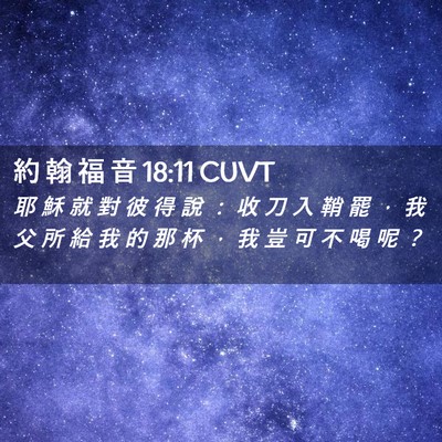 Picture 02 - 約 翰 福 音 18:11 CUVT - 耶 穌 就 對 彼 得 說 ： 收 刀 入 鞘 - Bible Verse Picture