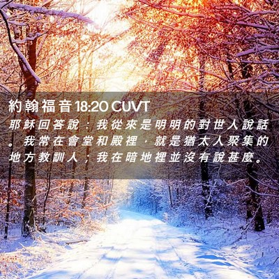Picture 02 - 約 翰 福 音 18:20 CUVT - 耶 穌 回 答 說 ： 我 從 來 是 明 明 - Bible Verse Picture