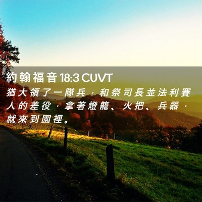Picture 02 - 約 翰 福 音 18:3 CUVT - 猶 大 領 了 一 隊 兵 ， 和 祭 司 長 - Bible Verse Picture