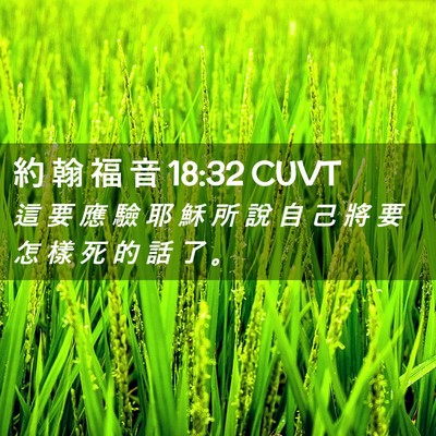 Picture 02 - 約 翰 福 音 18:32 CUVT - 這 要 應 驗 耶 穌 所 說 自 己 將 要 - Bible Verse Picture