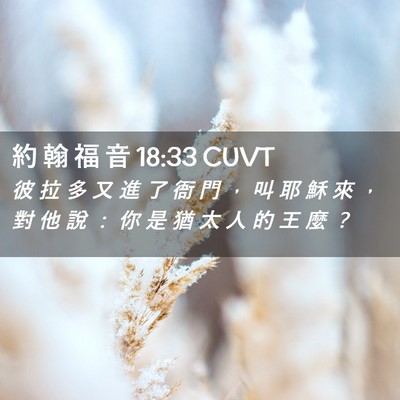 Picture 02 - 約 翰 福 音 18:33 CUVT - 彼 拉 多 又 進 了 衙 門 ， 叫 耶 穌 - Bible Verse Picture