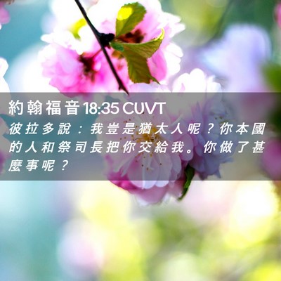 Picture 02 - 約 翰 福 音 18:35 CUVT - 彼 拉 多 說 ： 我 豈 是 猶 太 人 呢 - Bible Verse Picture