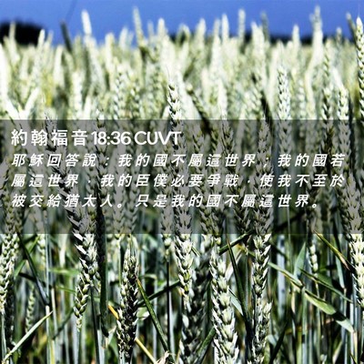 Picture 02 - 約 翰 福 音 18:36 CUVT - 耶 穌 回 答 說 ： 我 的 國 不 屬 這 - Bible Verse Picture