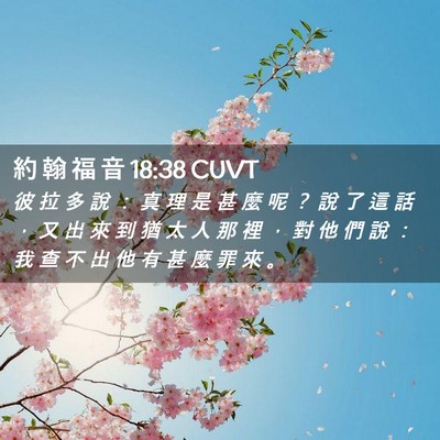 Picture 02 - 約 翰 福 音 18:38 CUVT - 彼 拉 多 說 ： 真 理 是 甚 麼 呢 ？ - Bible Verse Picture