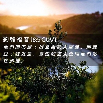 Picture 02 - 約 翰 福 音 18:5 CUVT - 他 們 回 答 說 ： 找 拿 撒 勒 人 耶 - Bible Verse Picture