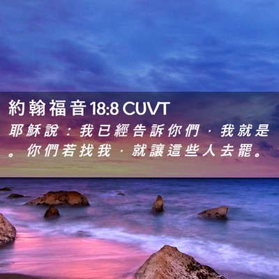Picture 02 - 約 翰 福 音 18:8 CUVT - 耶 穌 說 ： 我 已 經 告 訴 你 們 ， - Bible Verse Picture