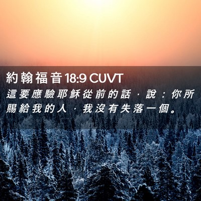 Picture 02 - 約 翰 福 音 18:9 CUVT - 這 要 應 驗 耶 穌 從 前 的 話 ， 說 - Bible Verse Picture