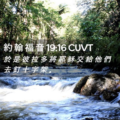 Picture 02 - 約 翰 福 音 19:16 CUVT - 於 是 彼 拉 多 將 耶 穌 交 給 他 們 - Bible Verse Picture