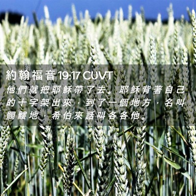 Picture 02 - 約 翰 福 音 19:17 CUVT - 他 們 就 把 耶 穌 帶 了 去 。 耶 穌 - Bible Verse Picture