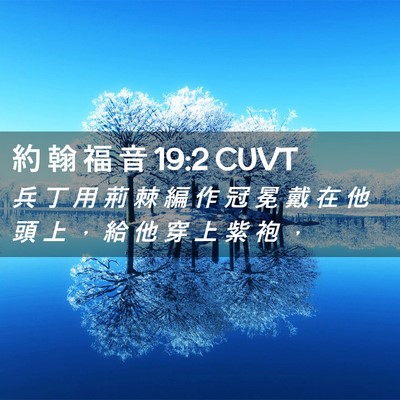 Picture 02 - 約 翰 福 音 19:2 CUVT - 兵 丁 用 荊 棘 編 作 冠 冕 戴 在 他 - Bible Verse Picture