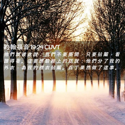 Picture 02 - 約 翰 福 音 19:24 CUVT - 他 們 就 彼 此 說 ： 我 們 不 要 撕 - Bible Verse Picture