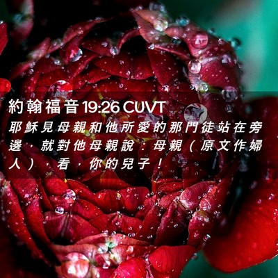 Picture 02 - 約 翰 福 音 19:26 CUVT - 耶 穌 見 母 親 和 他 所 愛 的 那 門 - Bible Verse Picture