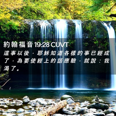 Picture 02 - 約 翰 福 音 19:28 CUVT - 這 事 以 後 ， 耶 穌 知 道 各 樣 的 - Bible Verse Picture