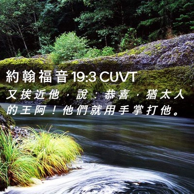 Picture 02 - 約 翰 福 音 19:3 CUVT - 又 挨 近 他 ， 說 ： 恭 喜 ， 猶 太 - Bible Verse Picture