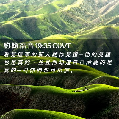 Picture 02 - 約 翰 福 音 19:35 CUVT - 看 見 這 事 的 那 人 就 作 見 證 ─ - Bible Verse Picture