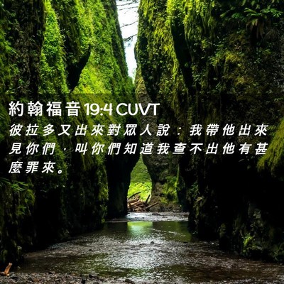 Picture 02 - 約 翰 福 音 19:4 CUVT - 彼 拉 多 又 出 來 對 眾 人 說 ： 我 - Bible Verse Picture