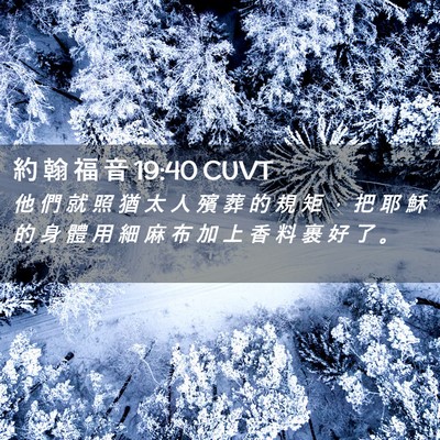 Picture 02 - 約 翰 福 音 19:40 CUVT - 他 們 就 照 猶 太 人 殯 葬 的 規 矩 - Bible Verse Picture