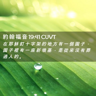 Picture 02 - 約 翰 福 音 19:41 CUVT - 在 耶 穌 釘 十 字 架 的 地 方 有 一 - Bible Verse Picture