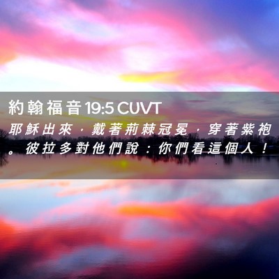 Picture 02 - 約 翰 福 音 19:5 CUVT - 耶 穌 出 來 ， 戴 著 荊 棘 冠 冕 ， - Bible Verse Picture
