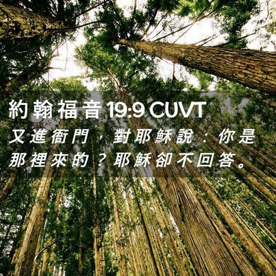 Picture 02 - 約 翰 福 音 19:9 CUVT - 又 進 衙 門 ， 對 耶 穌 說 ： 你 是 - Bible Verse Picture