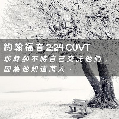 Picture 02 - 約 翰 福 音 2:24 CUVT - 耶 穌 卻 不 將 自 己 交 託 他 們 ； - Bible Verse Picture