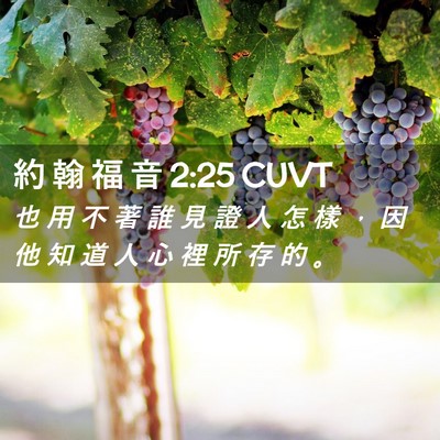 Picture 02 - 約 翰 福 音 2:25 CUVT - 也 用 不 著 誰 見 證 人 怎 樣 ， 因 - Bible Verse Picture