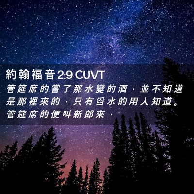 Picture 02 - 約 翰 福 音 2:9 CUVT - 管 筵 席 的 嘗 了 那 水 變 的 酒 ， - Bible Verse Picture