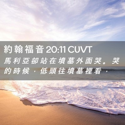 Picture 02 - 約 翰 福 音 20:11 CUVT - 馬 利 亞 卻 站 在 墳 墓 外 面 哭 。 - Bible Verse Picture
