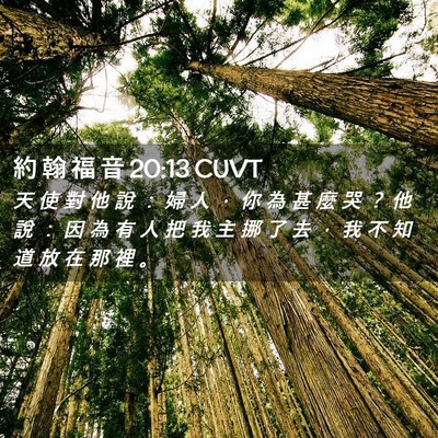 Picture 02 - 約 翰 福 音 20:13 CUVT - 天 使 對 他 說 ： 婦 人 ， 你 為 甚 - Bible Verse Picture