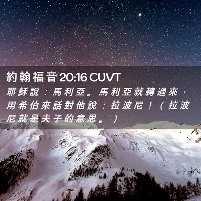Picture 02 - 約 翰 福 音 20:16 CUVT - 耶 穌 說 ： 馬 利 亞 。 馬 利 亞 就 - Bible Verse Picture