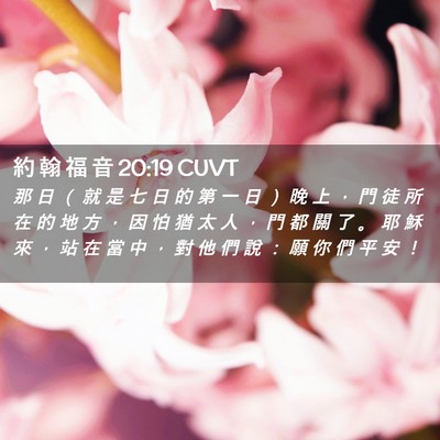 Picture 02 - 約 翰 福 音 20:19 CUVT - 那 日 （ 就 是 七 日 的 第 一 日 ） - Bible Verse Picture