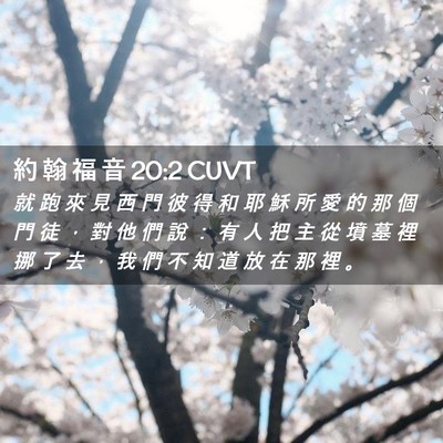 Picture 02 - 約 翰 福 音 20:2 CUVT - 就 跑 來 見 西 門 彼 得 和 耶 穌 所 - Bible Verse Picture