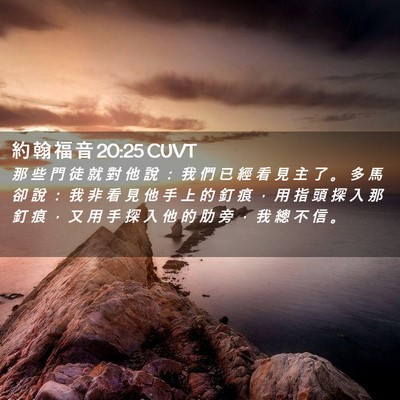 Picture 02 - 約 翰 福 音 20:25 CUVT - 那 些 門 徒 就 對 他 說 ： 我 們 已 - Bible Verse Picture